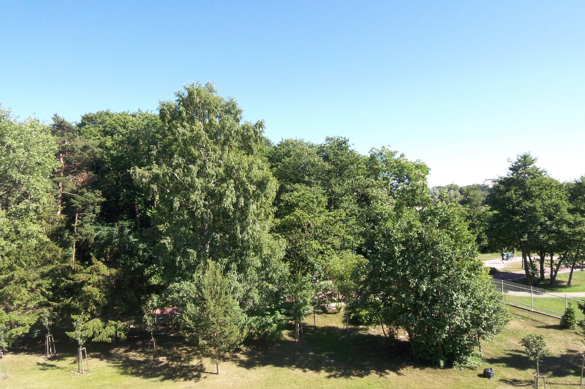 gdansk apartamenty, apartamenty gdansk, Neptun Park Apartments, Gdańsk przy wynajem apartamentów Neptun Park