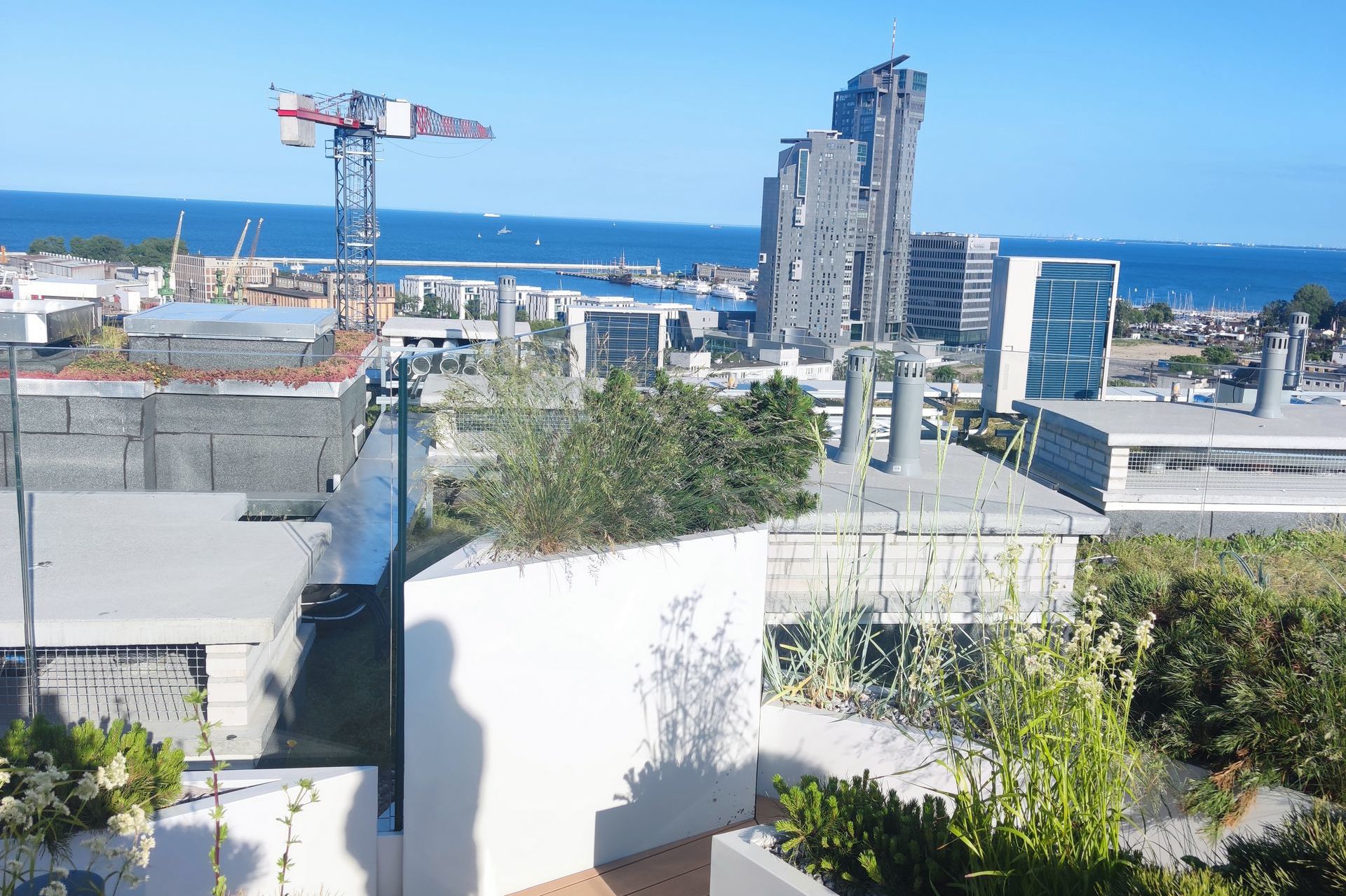 Gdynia apartamenty, wynajem apartamentów, wynajem Gdynia, Gdynia Śródmieście apartamenty