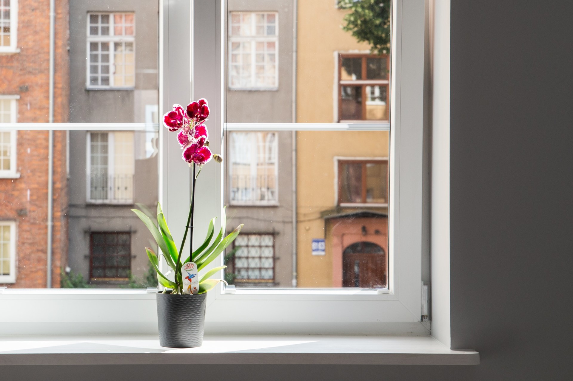 Gdańsk stare miasto, Gdańsk centrum, Apartamenty gdańsk, wynajem gdańsk, gdańsk centrum apartamenty, stare miasto apartamenty